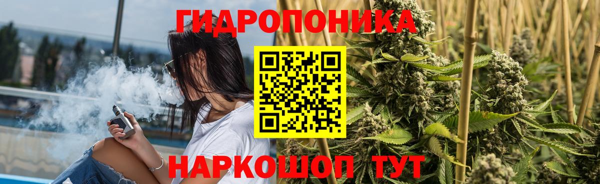 Марихуана планчик  МАРИХУАНА марихуана  Бошки марихуана White Widow  Вход с VPN  Киреевск 